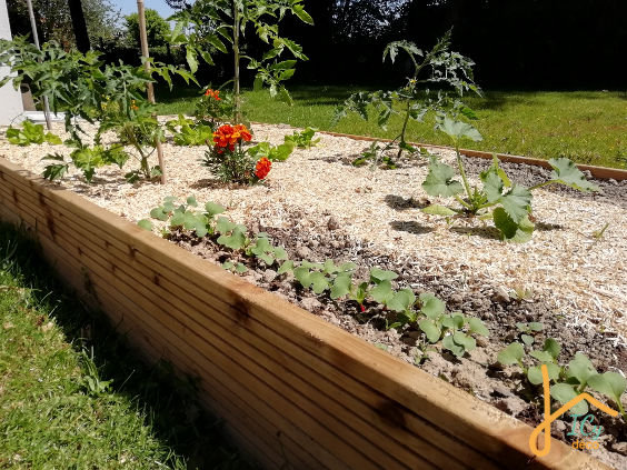 Des radis en pleine croissance dans un potager surélevé Montessori friendly | ICy déco